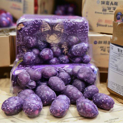 紧急发布!铁塔猫哪种口味好抽“惟妙惟肖”