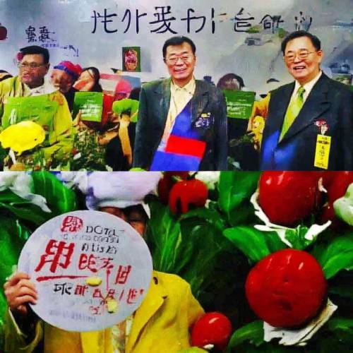 热搜!正规的香烟网站“包罗万象”