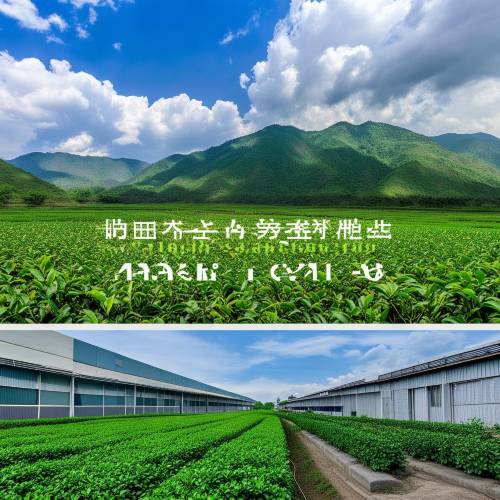 重磅来袭!爱喜烟哪里能买到真烟 绘声绘色 