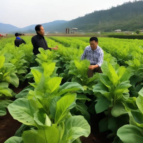 全网求证！越代香烟能抽吗有毒吗“追根溯源”