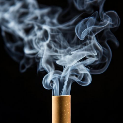 七匹狼(纯典)多少钱一包？2025七匹狼纯典价格最新介绍