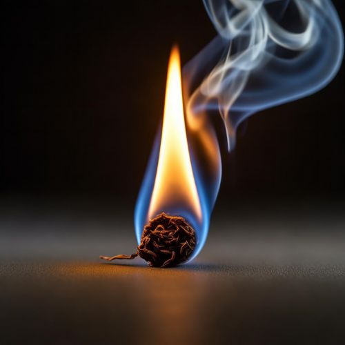 利群(硬阳光出口版)多少钱一包？2025利群硬阳光出口版价格最新介绍