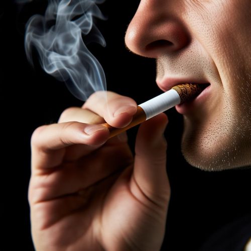 娇子(宽窄子弹头)多少钱一包？2025娇子宽窄子弹头价格表一览