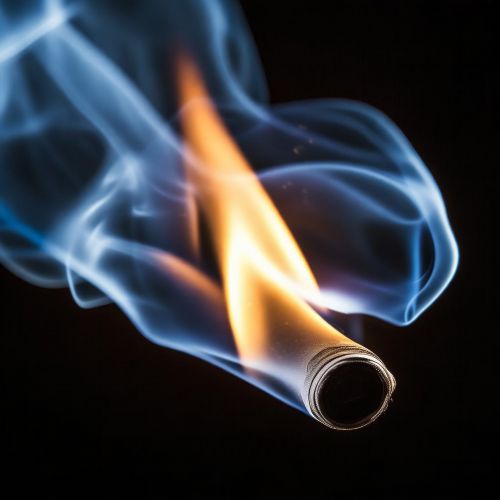 娇子(新概念)多少钱一包？2025娇子新概念价格表一览