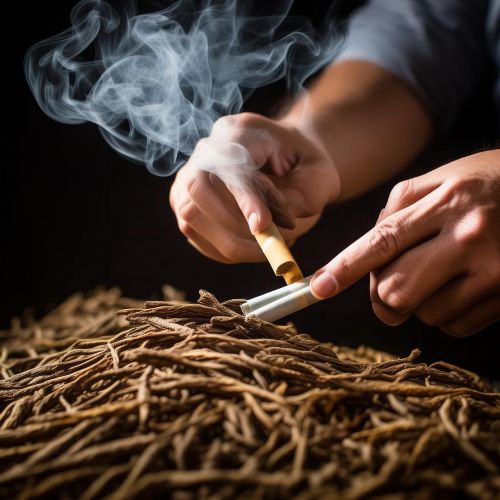 娇子(蓝太阳神鸟)多少钱一包？2025娇子蓝太阳神鸟价格表一览
