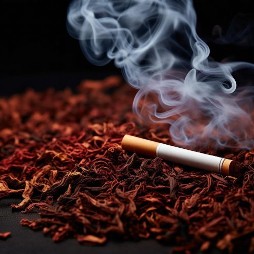 娇子(软红)多少钱一包？2025娇子软红价格表一览