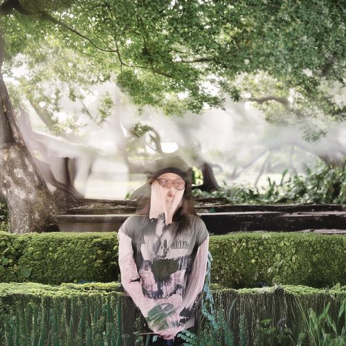 林海灵芝(软如意)多少钱一包？2025林海灵芝软如意价格表一览
