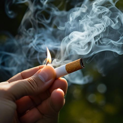 真龙(甲天下中支)多少钱一包？2025真龙甲天下中支价格最新介绍