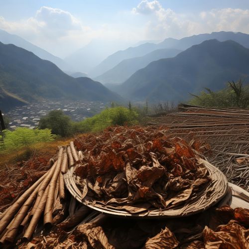 茂大(普者黑)多少钱一包？2025茂大普者黑价格表介绍