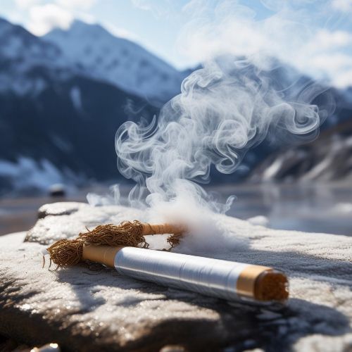 雪莲(红新品)多少钱一包？2025雪莲红新品香烟价格最新介绍