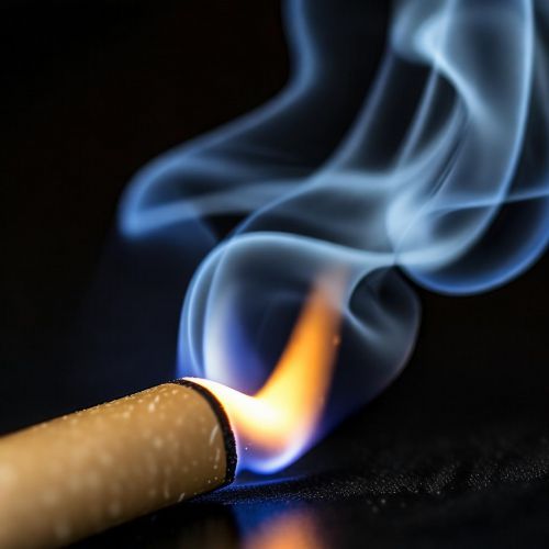黄鹤楼(软辛亥100黑)价格表一览-2025纪念版香烟多少钱一包